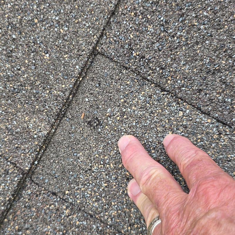 Asphalt shingle roof with hail damage inspection