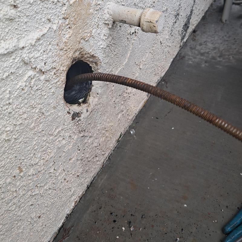 Exterior cleanout drain with plumbing snake insertion Exterior cleanout drain with plumbing snake insertion