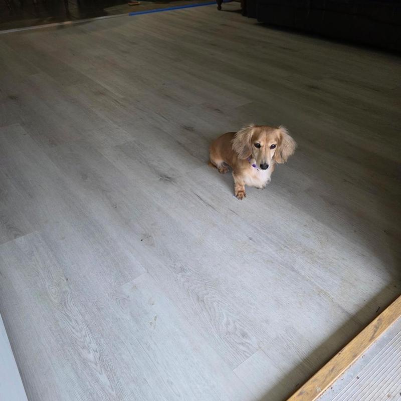 Vinyl waterproof flooring installation with new substructure Vinyl waterproof flooring installation with new substructure