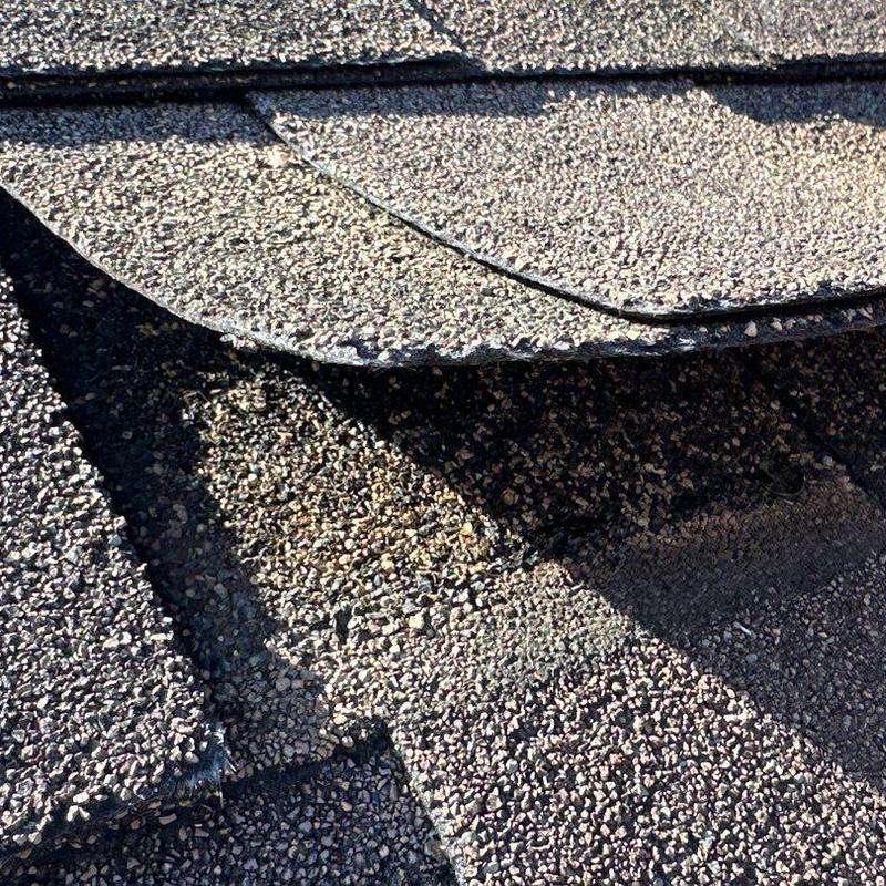 Asphalt roof shingles with wind damage and lifting Asphalt roof shingles with wind damage and lifting