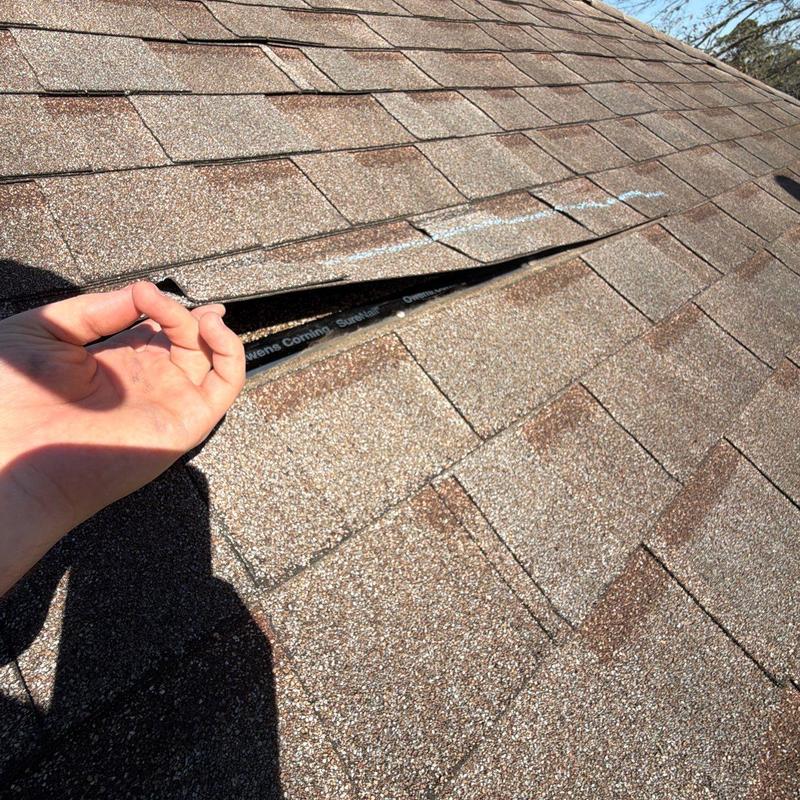 Roof shingles lifted showing underlying damage on 16-year roof Roof shingles lifted showing underlying damage on 16-year roof