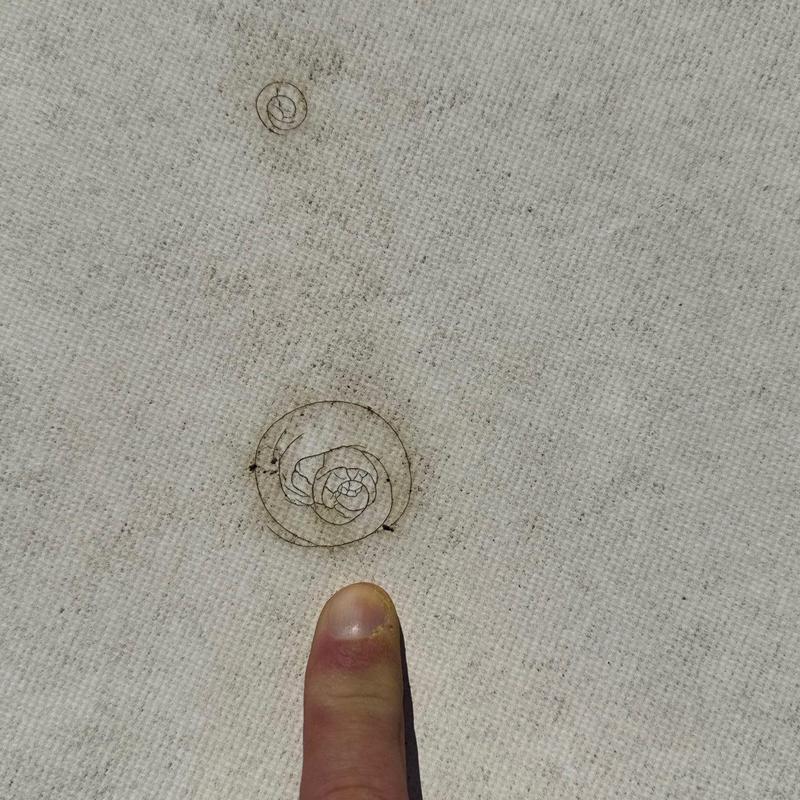 TPO commercial roofing hail damage and membrane bubbles