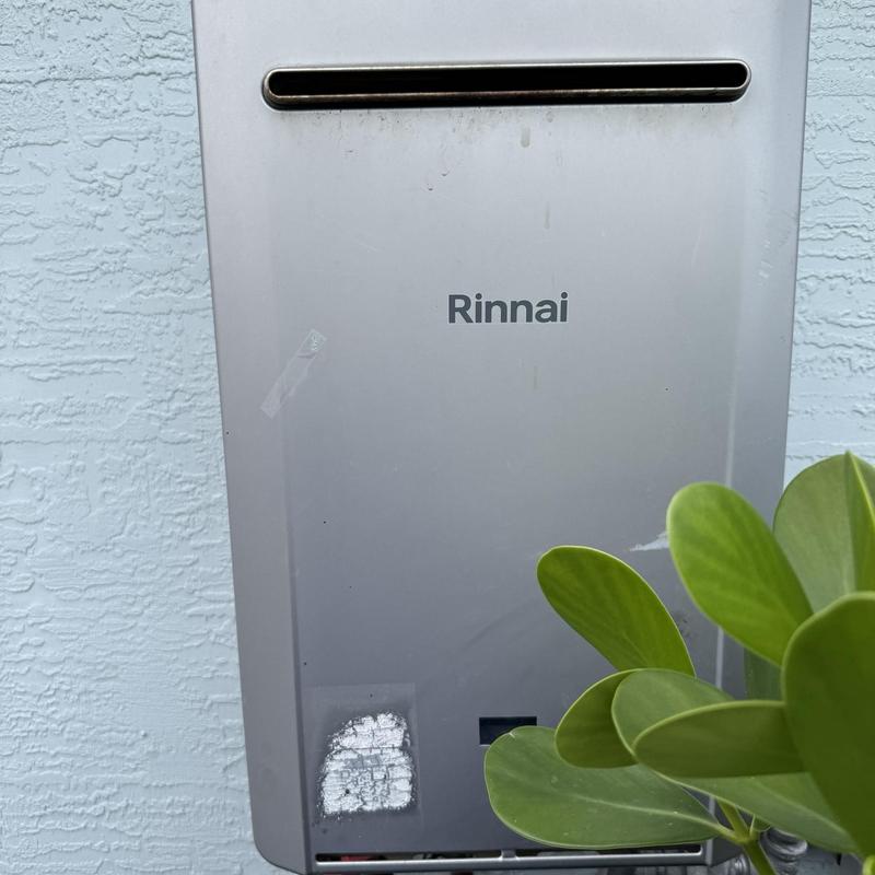Tankless water heater exterior with plant nearby