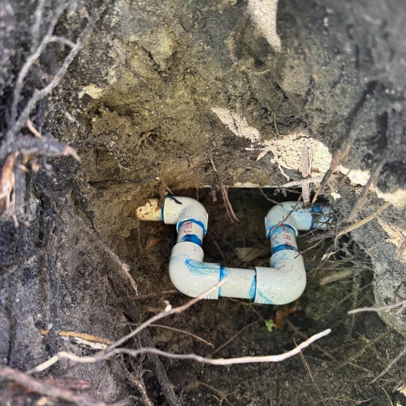 PVC water service line under oak tree roots repair