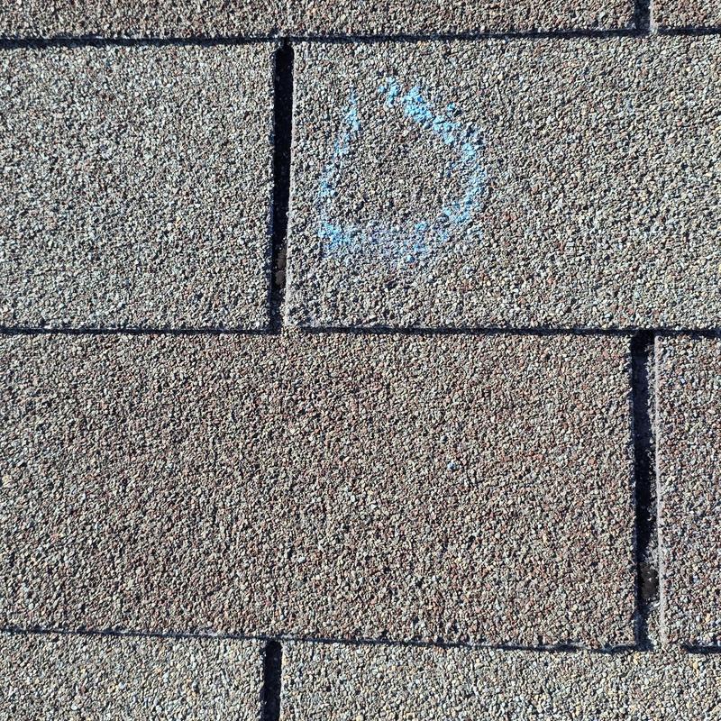 Asphalt roof shingles with hail damage marked in blue