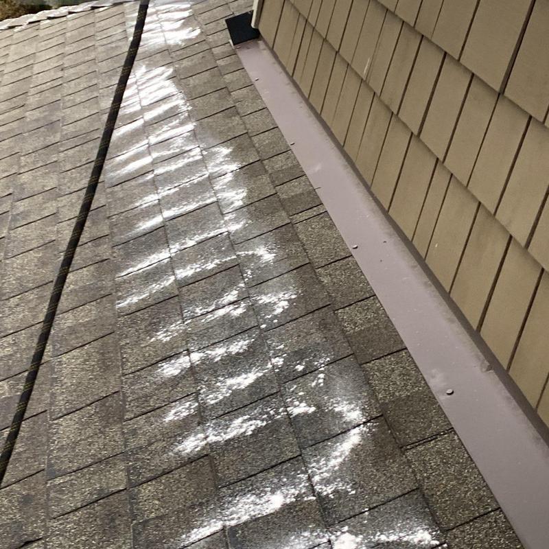 Roof shingles with moss treatment application in progress