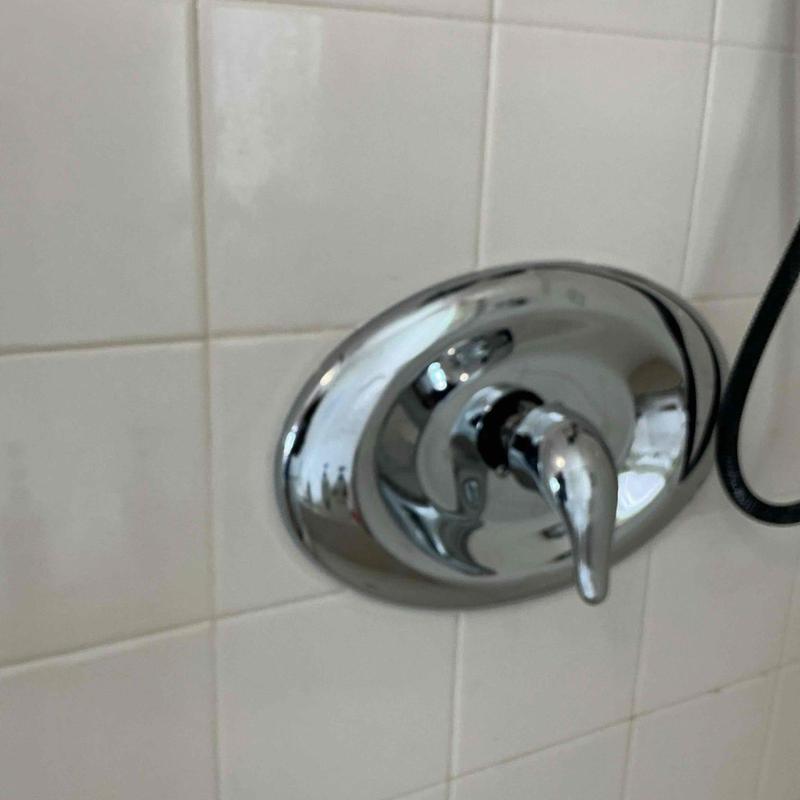 Moen Posi-Temp shower valve handle on tiled wall