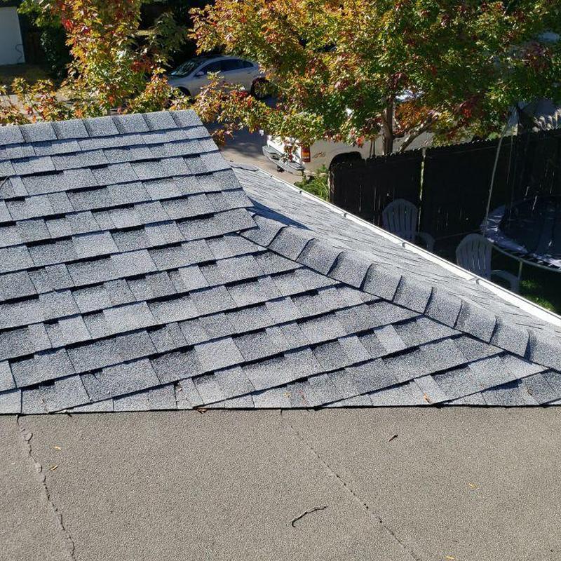 Valley area of shingle and flat roof leak source