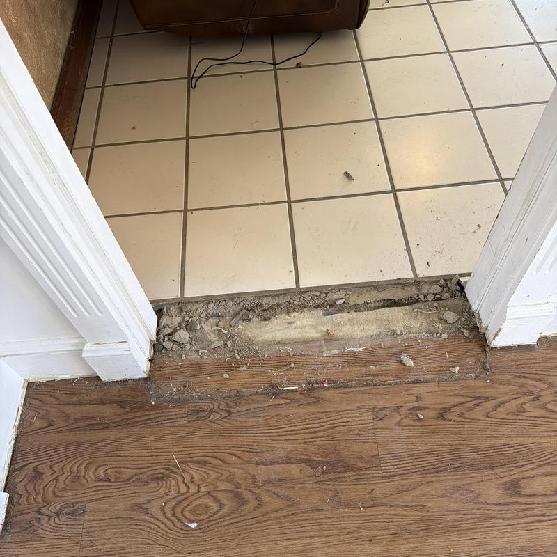 Floor transition demo between tile and wood flooring Floor transition demo between tile and wood flooring