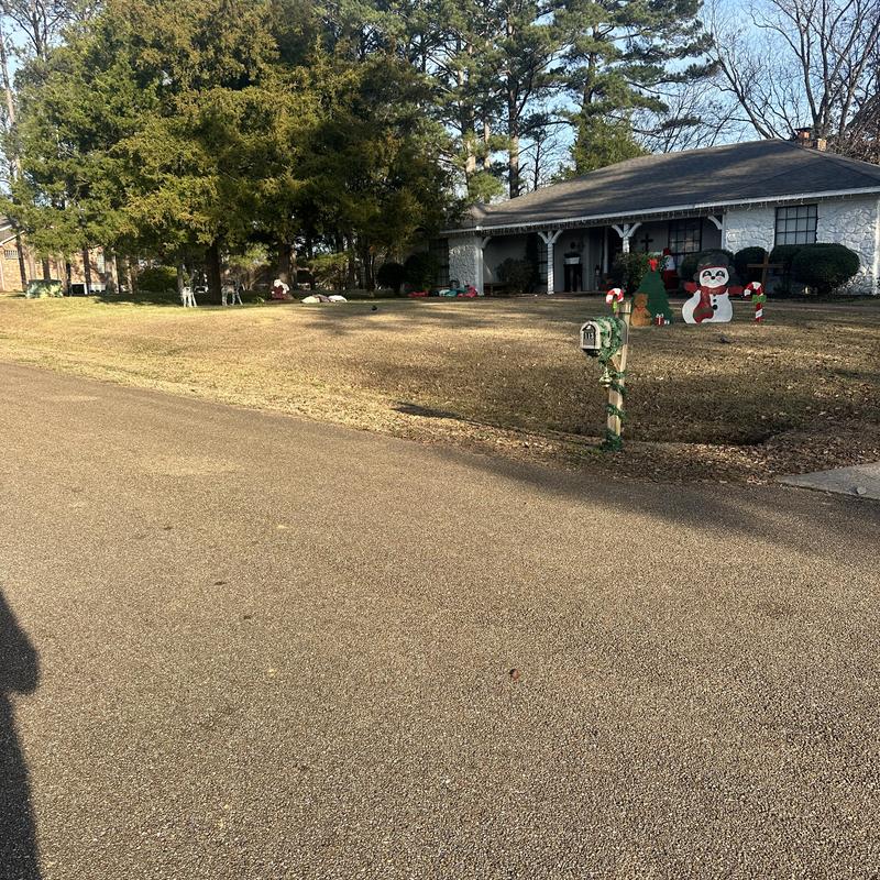Residential mailbox with holiday decorations on lawn