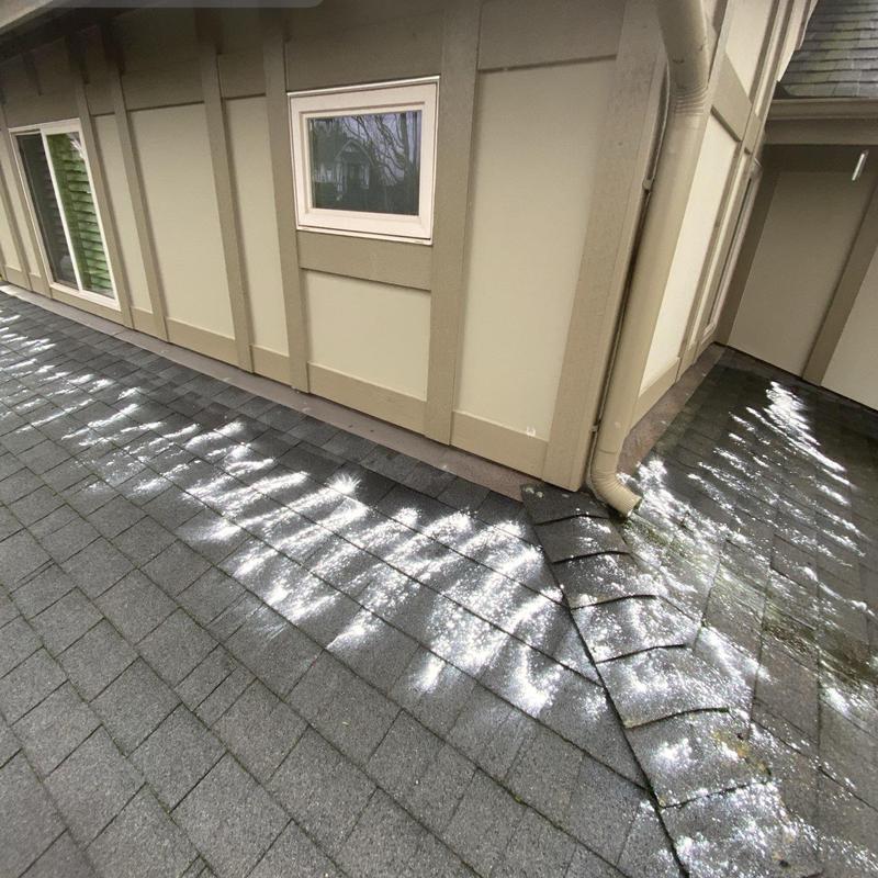 Roof moss treatment on asphalt shingles near gutter