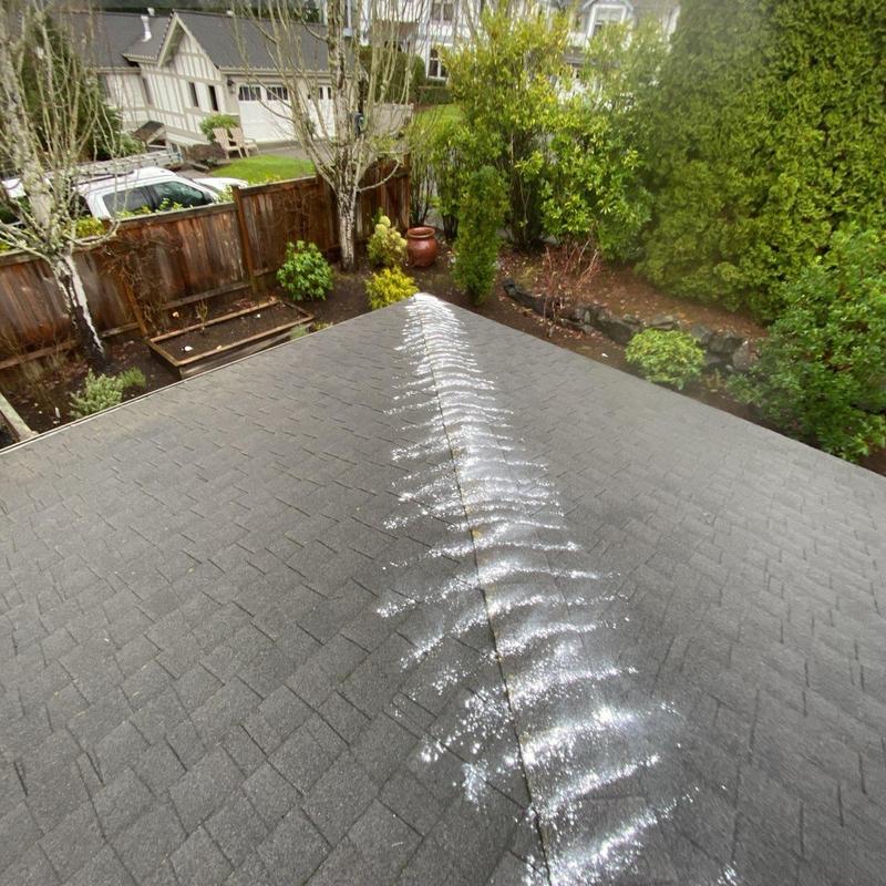 Roof shingles with moss treatment application