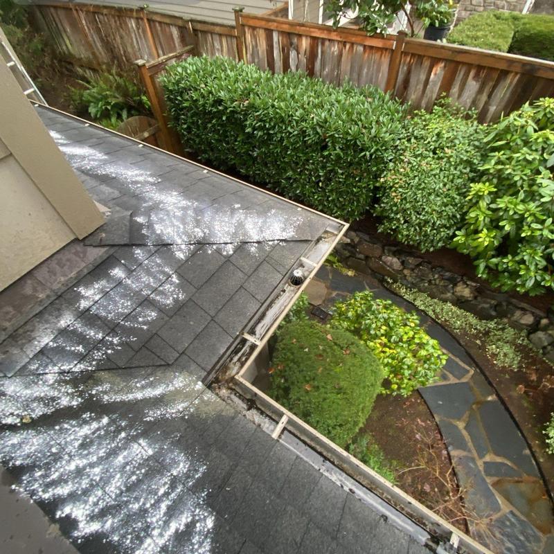 Asphalt roof shingles with moss treatment and debris removal