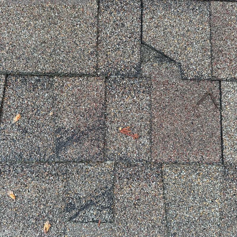 Asphalt roof shingles showing wear and granule loss