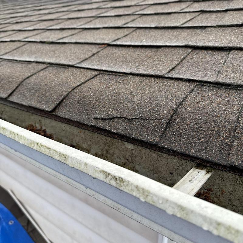 Asphalt shingles with curling edges near gutter