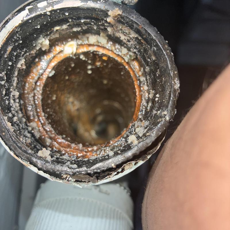 Kitchen sink drain with grease buildup inside pipe