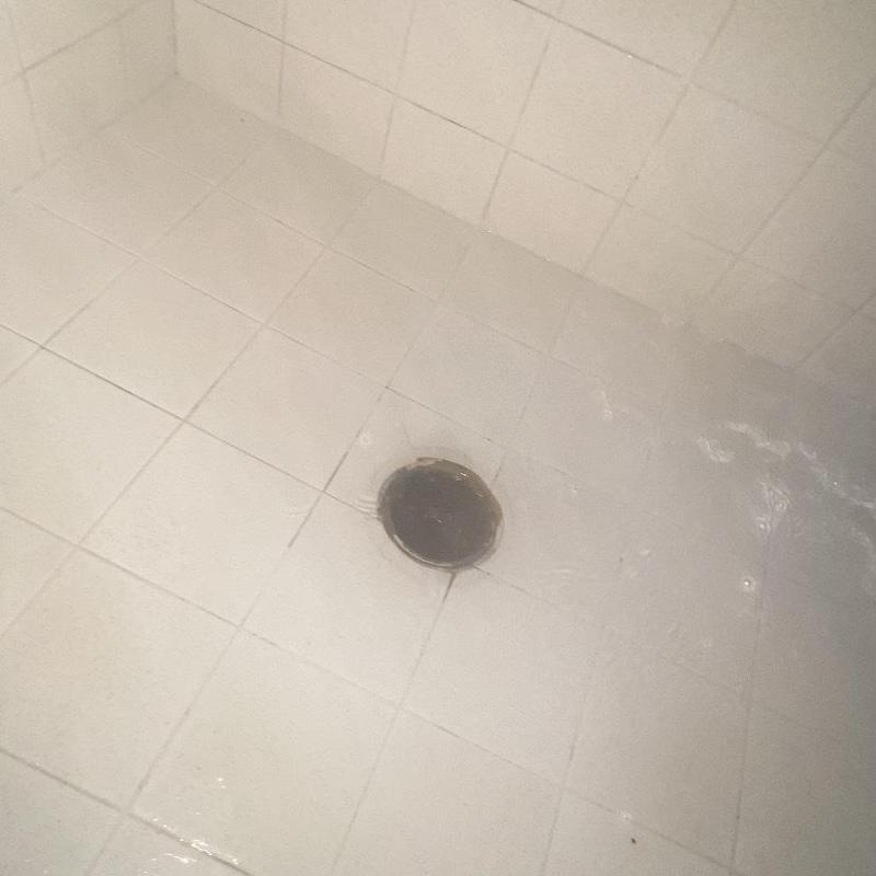 Shower drain with water pooling from clog blockage