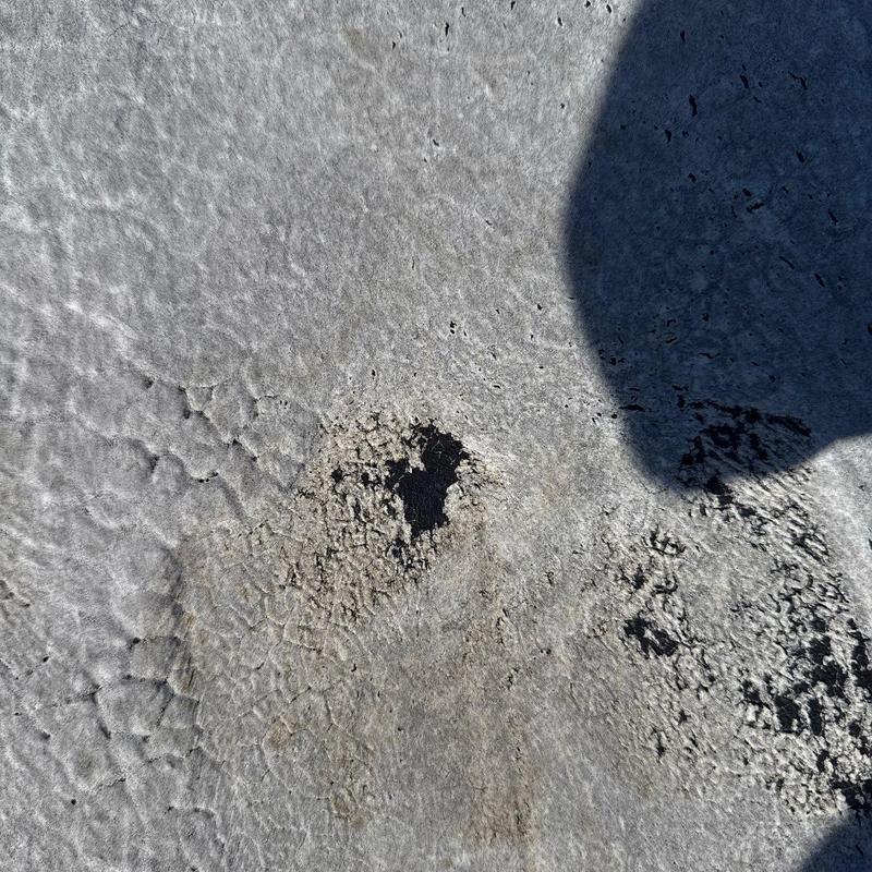 Roof shingle hail damage with surface cracks and wear