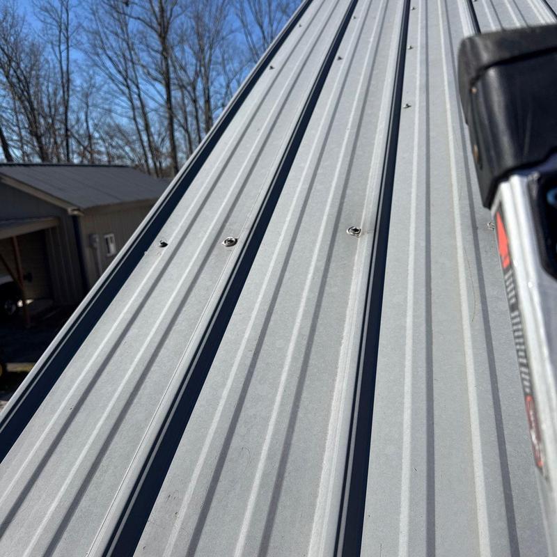 Metal roof panels with fasteners and ladder edge