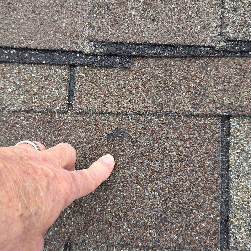 Asphalt roof shingle granule loss from hail damage