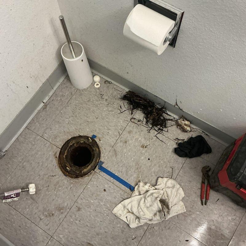 Toilet flange and sewer line with root debris removed