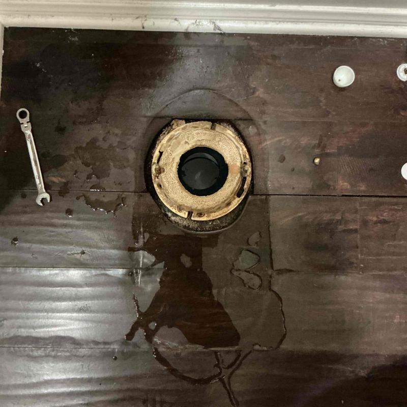 Toilet flange and base with water damage on wood floor