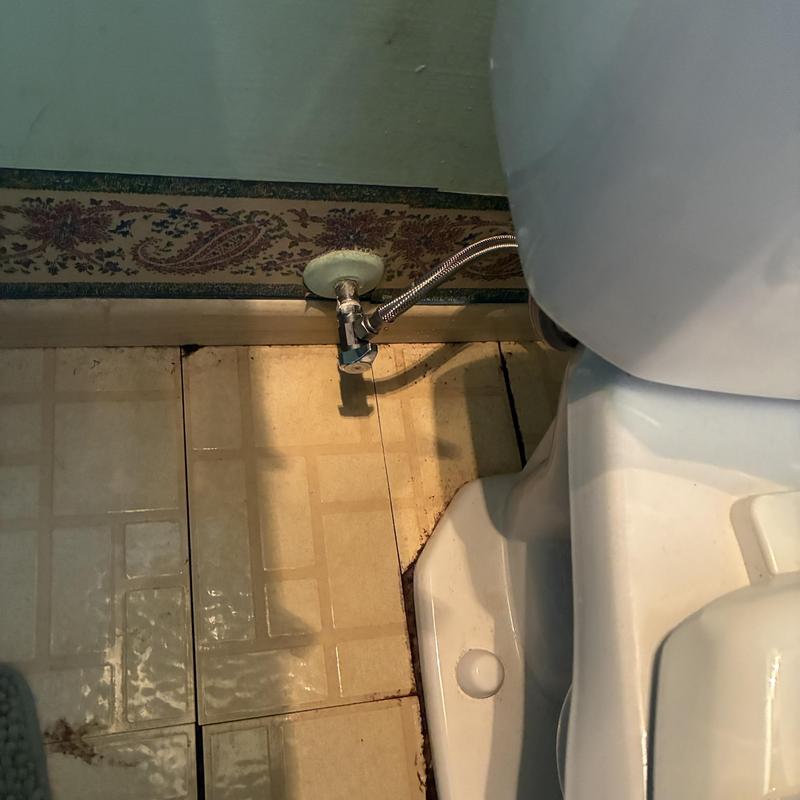 Toilet shut off valve and supply line installation