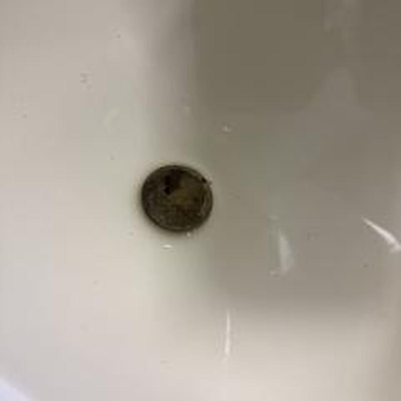 Urinal trap with calcium buildup in restroom bowl