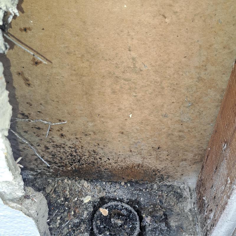 Kitchen drain pipe with wall mold and debris buildup Kitchen drain pipe with wall mold and debris buildup