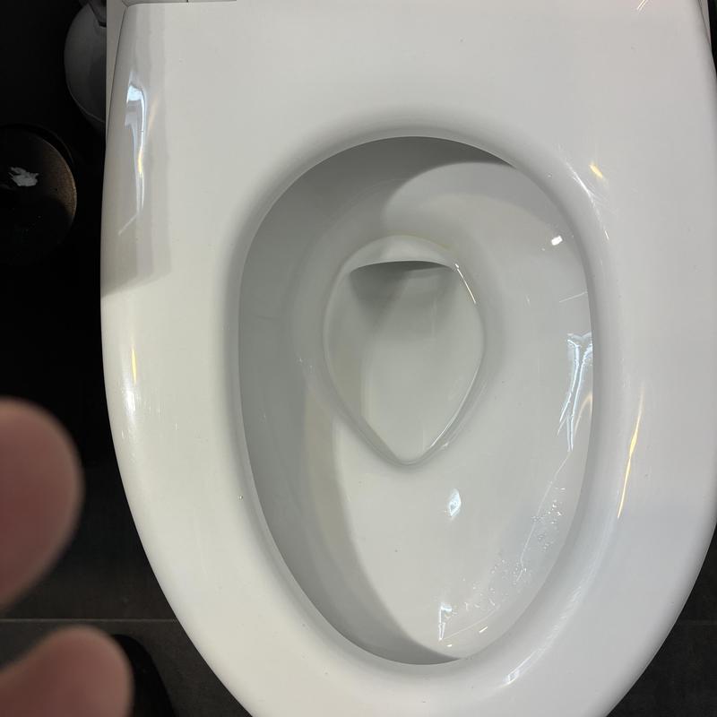 Toilet bowl and fill valve repair and adjustment