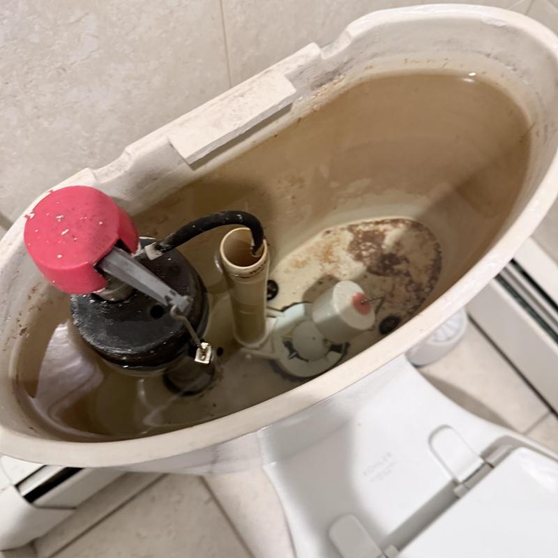 Kohler toilet tank rebuild with flush valve components