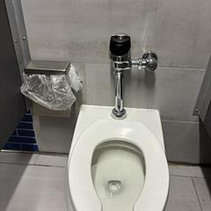 Toilet flush valve and bowl in restroom stall
