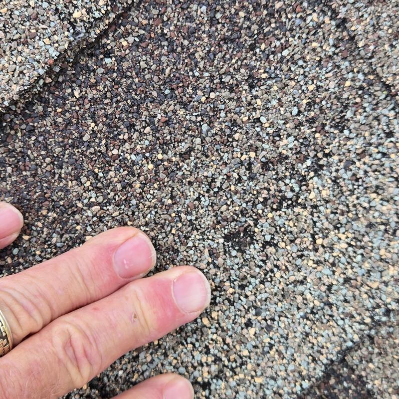 Asphalt roof shingles with missing granules and damage