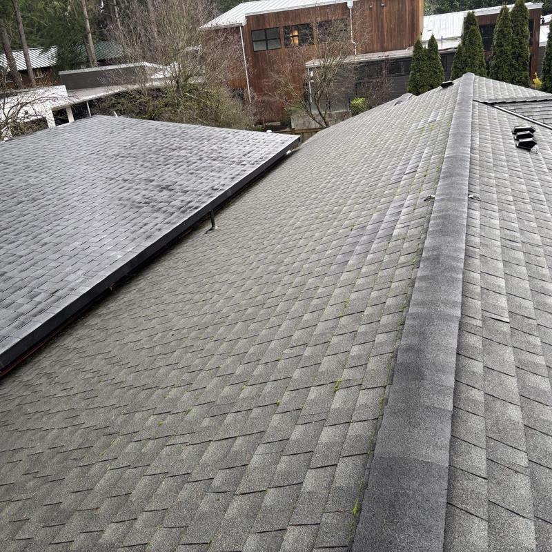 Asphalt shingle roof with slight moss growth