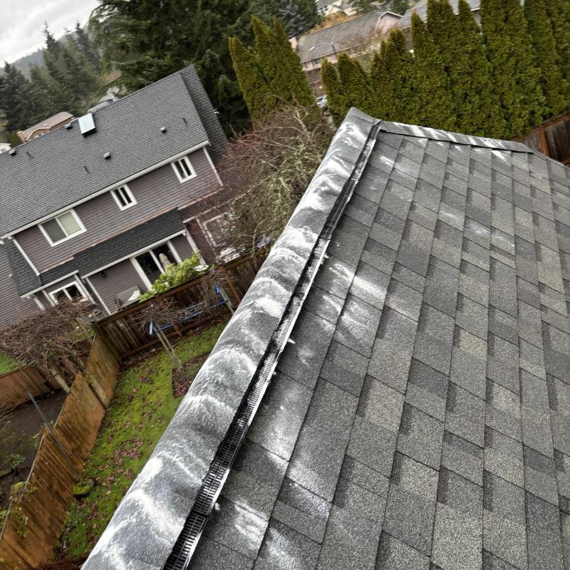 Roof shingle cleaning with moss treatment and leaf guard
