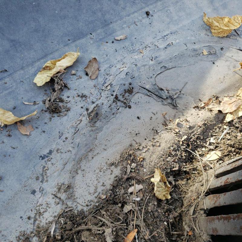 Flat roof drain with debris and seal damage