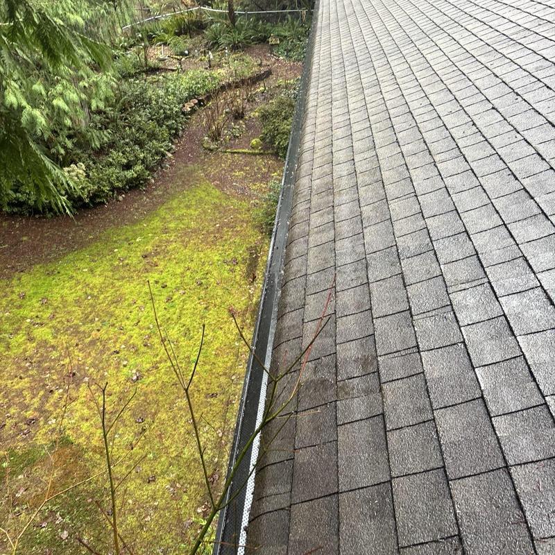 Roof gutter with protective screen and surrounding moss