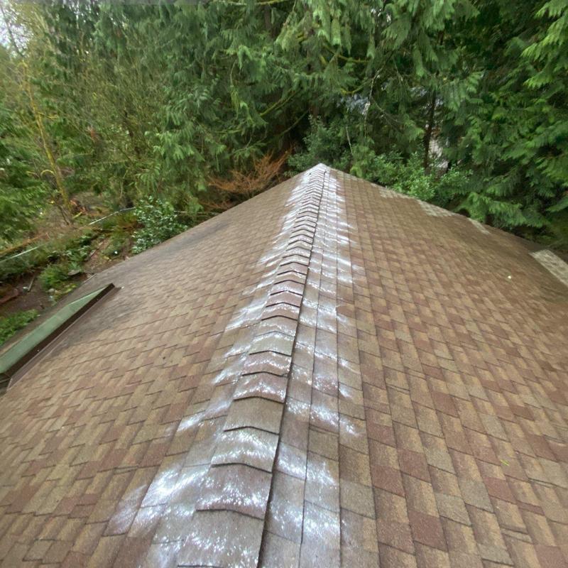 Asphalt roof moss treatment on residential roof