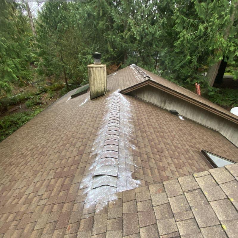 Asphalt shingle roof with moss treatment and debris cleaning