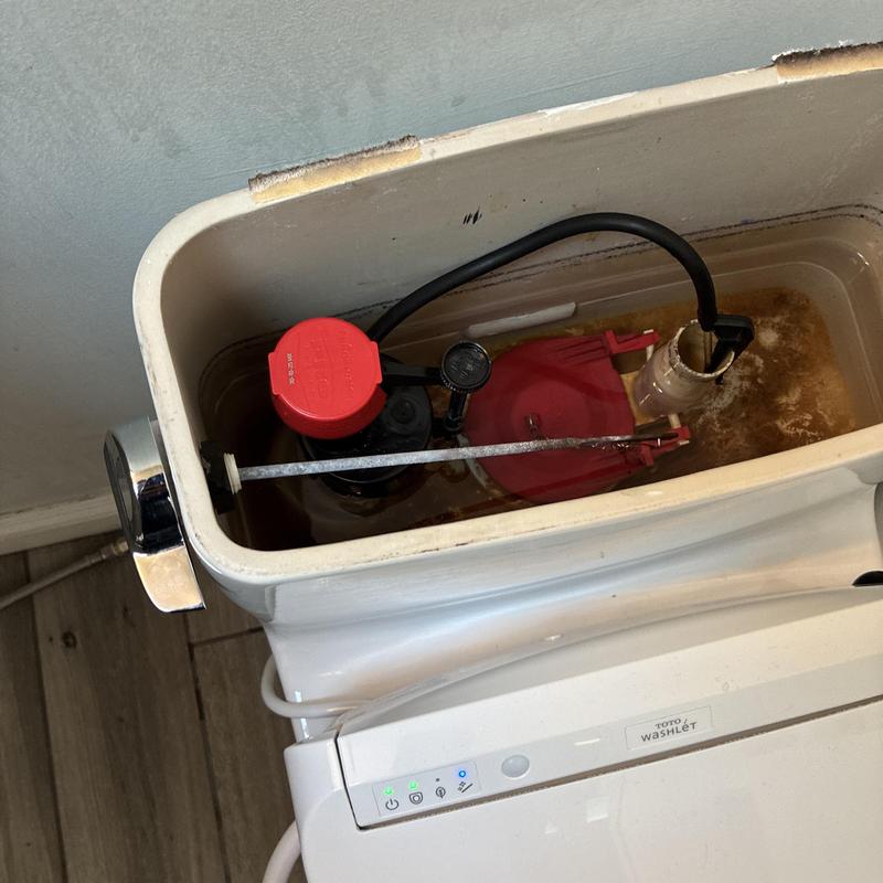 Toilet fill valve and flapper inside tank maintenance