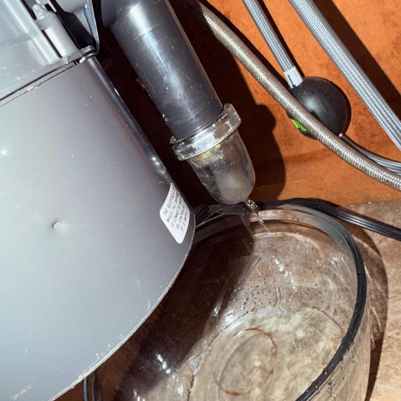 P-trap leak under sink draining into container