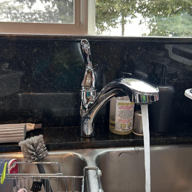 Moen single handle kitchen faucet with pullout sprayer