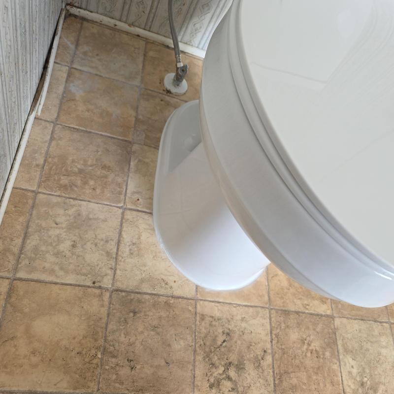 Toilet base with new wax ring and flange bolts