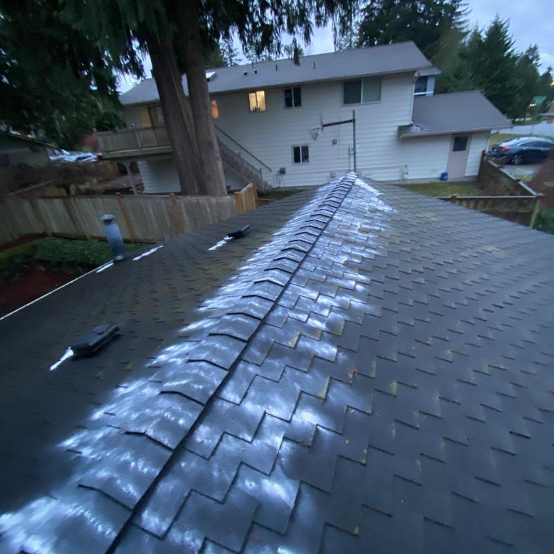Roof shingles with moss treatment application in progress