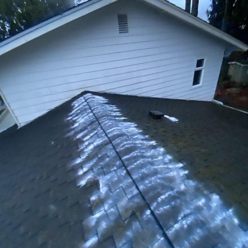 Roof moss treatment application along ridge shingles