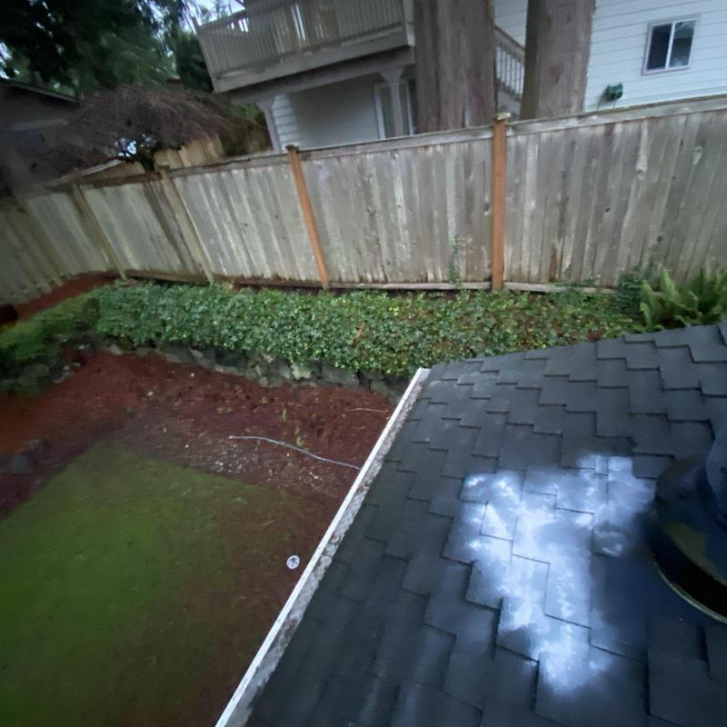 Roof shingles with moss treatment application