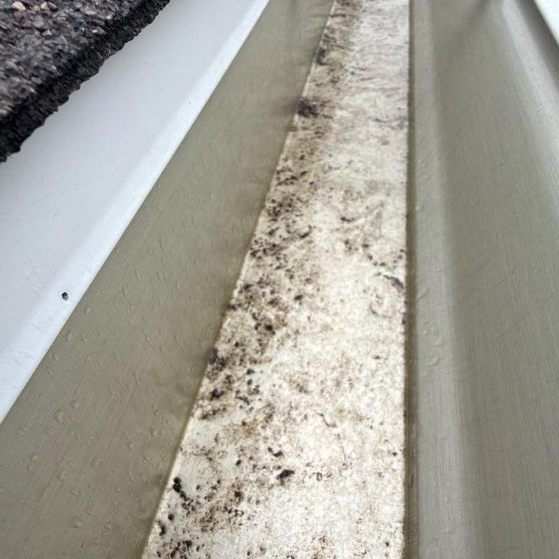Aluminum gutter interior with dirt and debris buildup