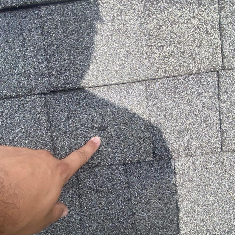 Asphalt roof shingles with granule loss inspection