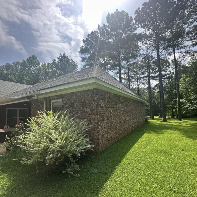 Roof shingles and gutters with surrounding yard and trees