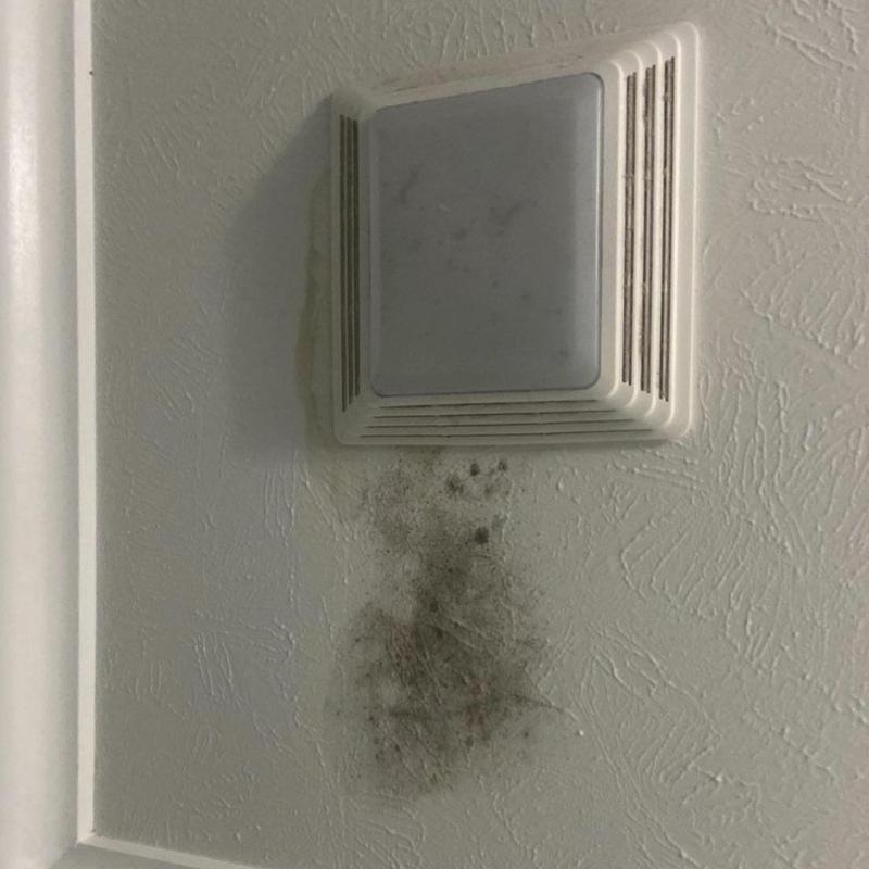 Bathroom exhaust vent with mold on wall